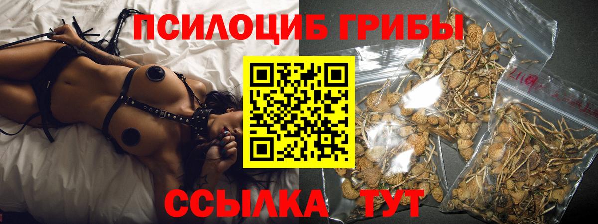 Кизилюрт  Псилоцибиновые грибы мухоморы  Вход с VPN 